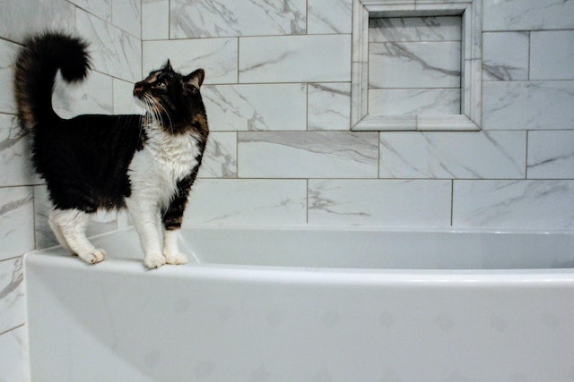bathroom renovation cost nz